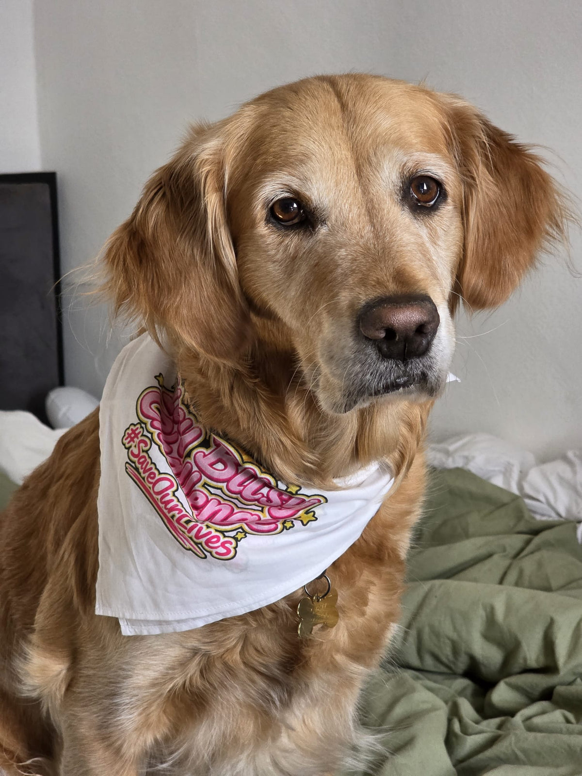 Official #SaveOurLives Pet Bandana