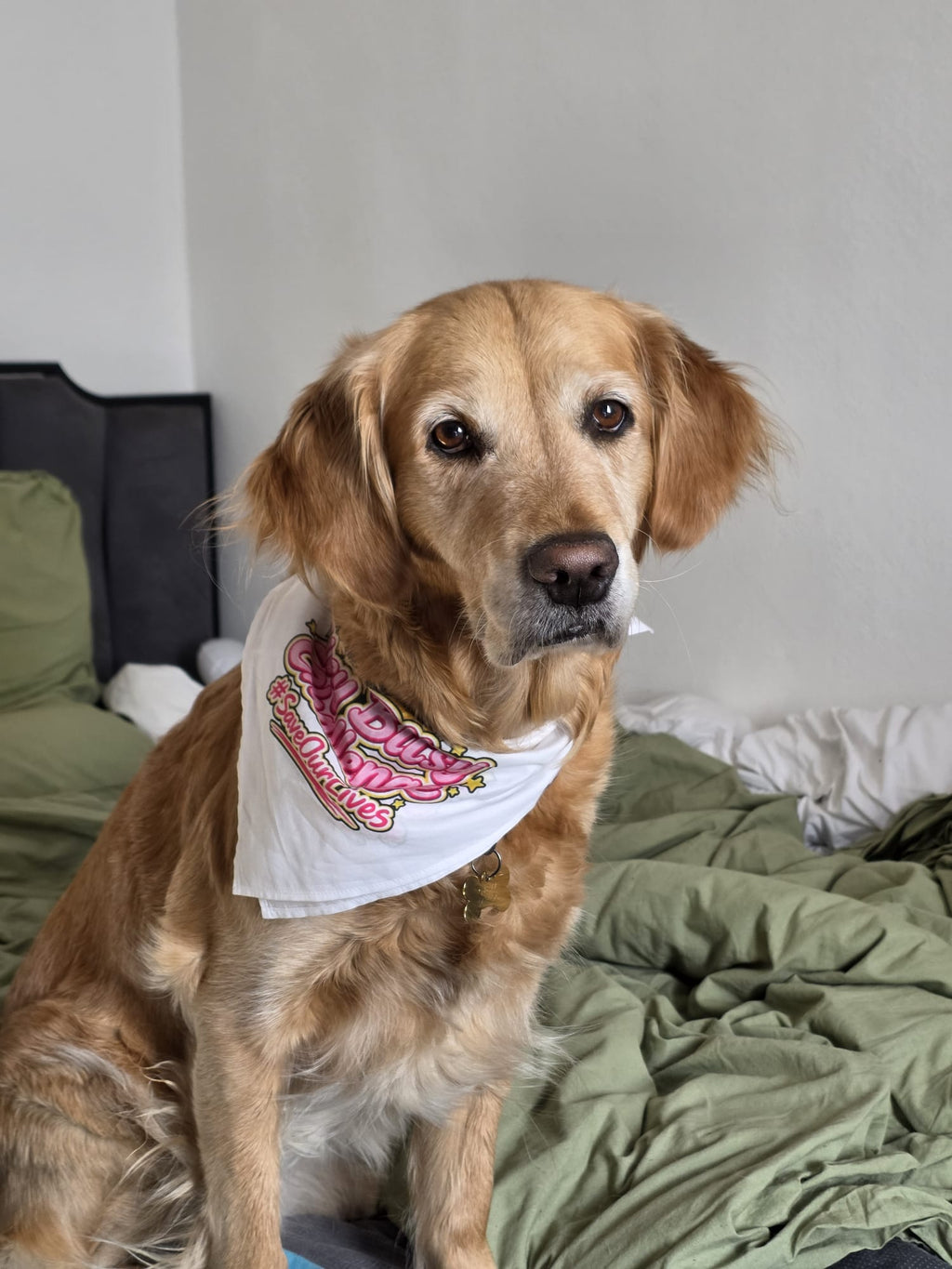 Official #SaveOurLives Pet Bandana